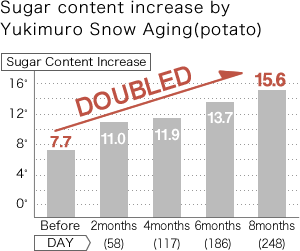 Sugar content increase by Yukimuro Snow Aging(potato)