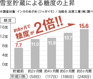 雪室貯蔵による糖度の上昇